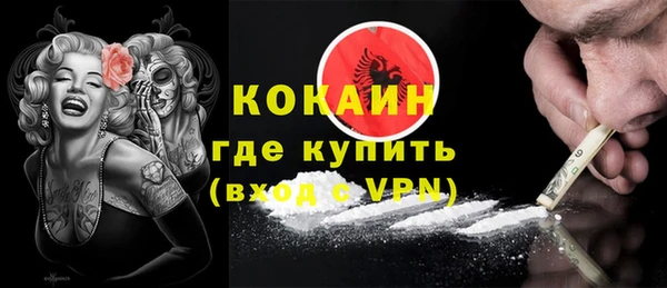 шишки Верея
