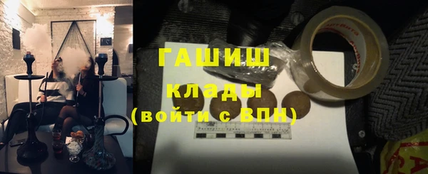 шишки Верея