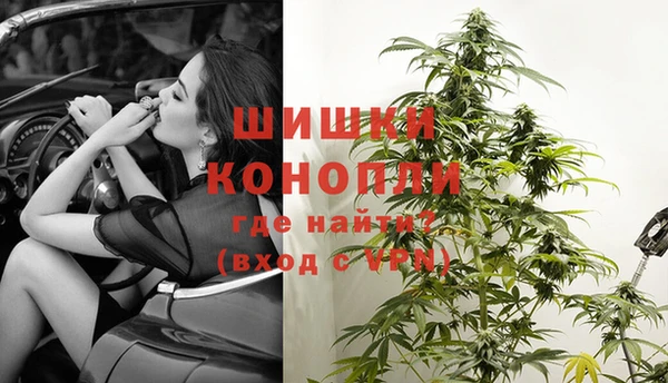 СК Волоколамск