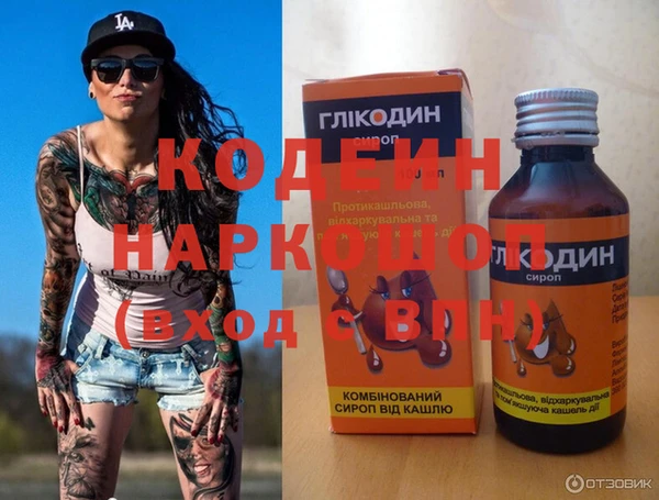 шишки Верея
