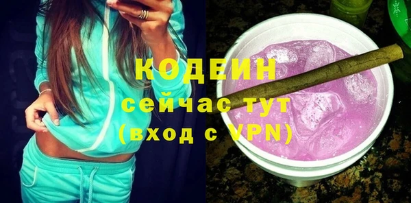 шишки Верея