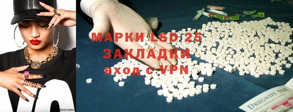 шишки Верея
