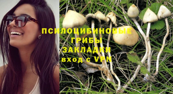 СК Волоколамск