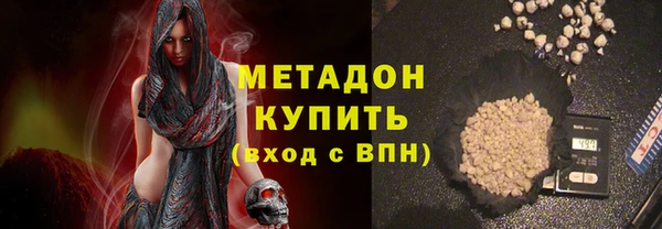 шишки Верея