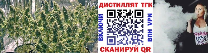ТГК вейп  Гатчина 